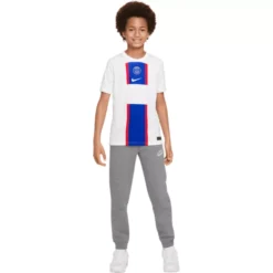 Nike Paris Saint-Germain 2022/23 Stadium Third Fußballtrikot -Sportarten Kleidung Geschäft A 3087018 NB6